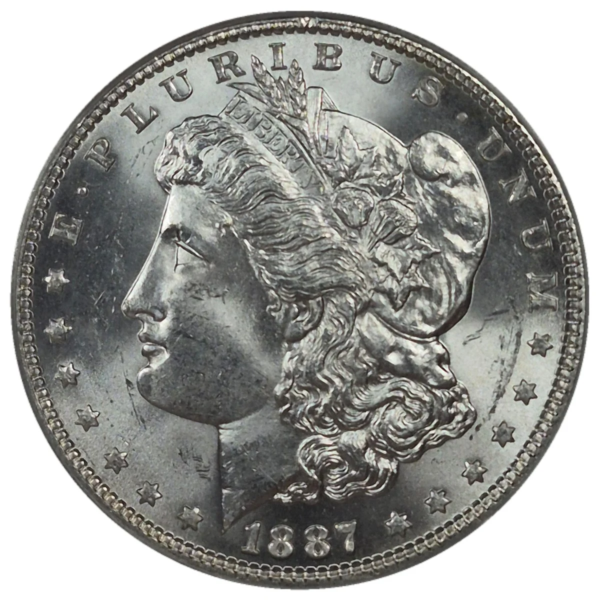 1887-$1-Morgan-Dollar-#19---TPG-29-Of-40